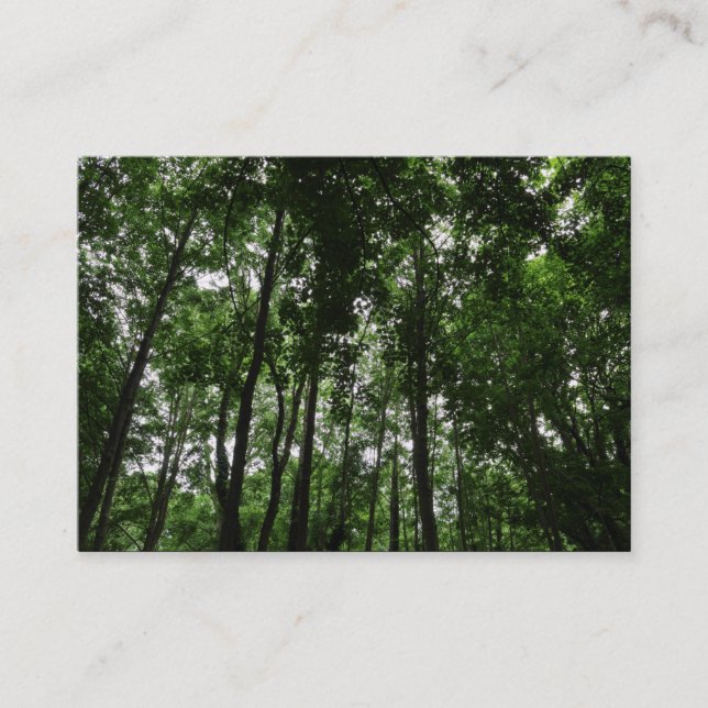 Carte De Visite Canopée forestière 02 (Devant)