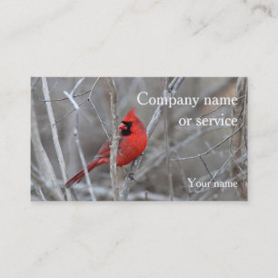 Carte De Visite Cardinal