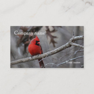 Carte De Visite Cardinal