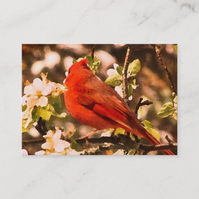 Carte De Visite Cardinal dans Apple Blossoms ATC (Devant)