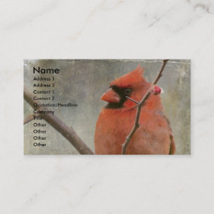 Carte De Visite Cardinal Grunge