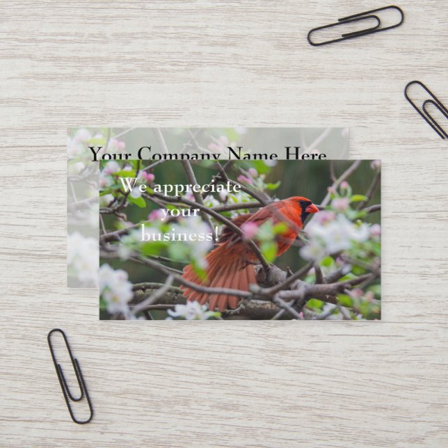 Carte De Visite Cardinal masculin au printemps (Devant/Arrière en situation)