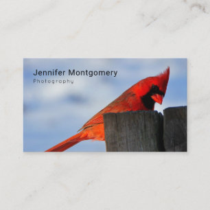 Carte De Visite Cardinal rouge sur la souche en bois