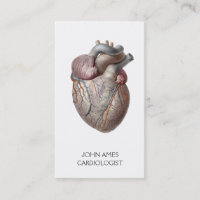 Cardiologie Médicale du coeur anatomique