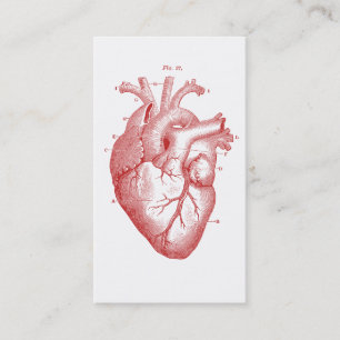 Carte De Visite Cardiologue Cardiologie Médicale du Coeur anatomiq