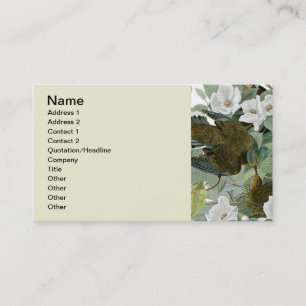 Carte De Visite Carolina Pigeon Audubon Morning Dove