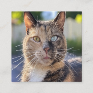Carte De Visite Carré Ajouter une Personnaliser photo de chat