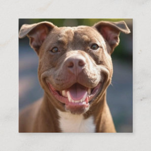Carte De Visite Carré Ajouter une Personnaliser photo Pit Bull