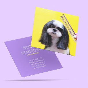 Carte De Visite Carré Animaux de compagnie adorables Grooming Care Servi