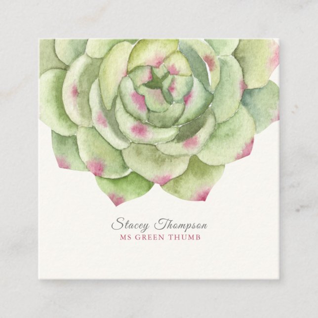 Carte De Visite Carré Aquarelle Succulente Rose de PixDezines (Devant)