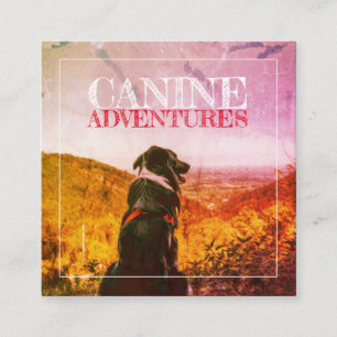 Carte De Visite Carré Aventures De Chien Et De Chien Feu Texté