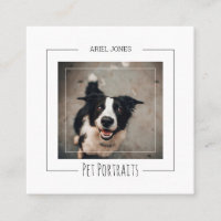 Bordure Collie Photographie Portraits d'animaux de