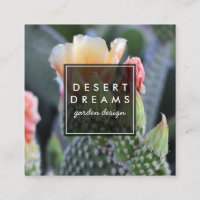 Cactus Flower Desert Garden Photo Tourisme