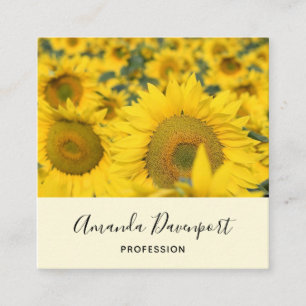 Carte De Visite Carré Champ jaune de tournesols photo