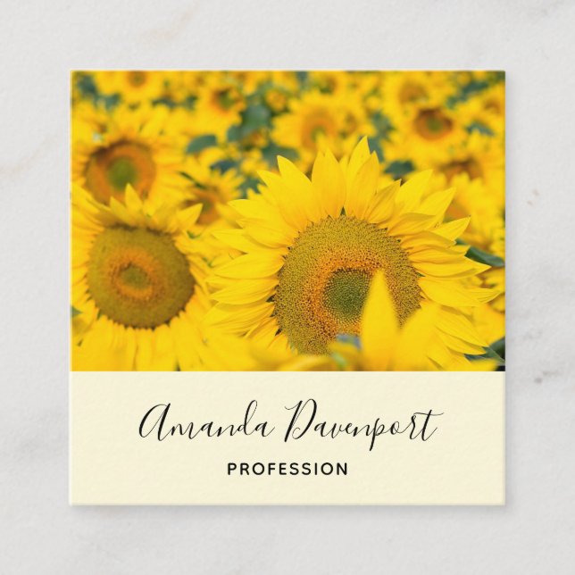 Carte De Visite Carré Champ jaune de tournesols photo (Devant)