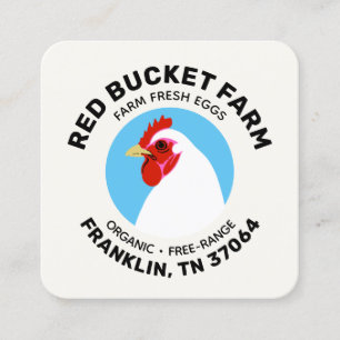 Carte De Visite Carré Chicken Farm Oeufs frais Moderne