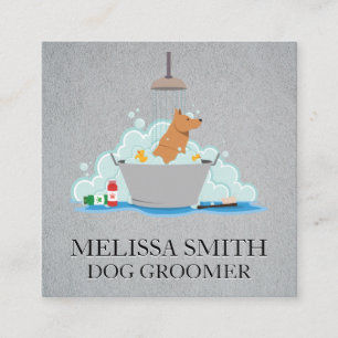 Carte De Visite Carré Chien Groomer   Laver le chien