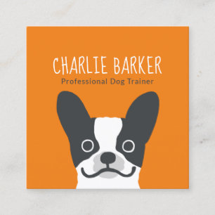 Carte De Visite Carré Chiffre de taureau français   Chien mignon   Soins