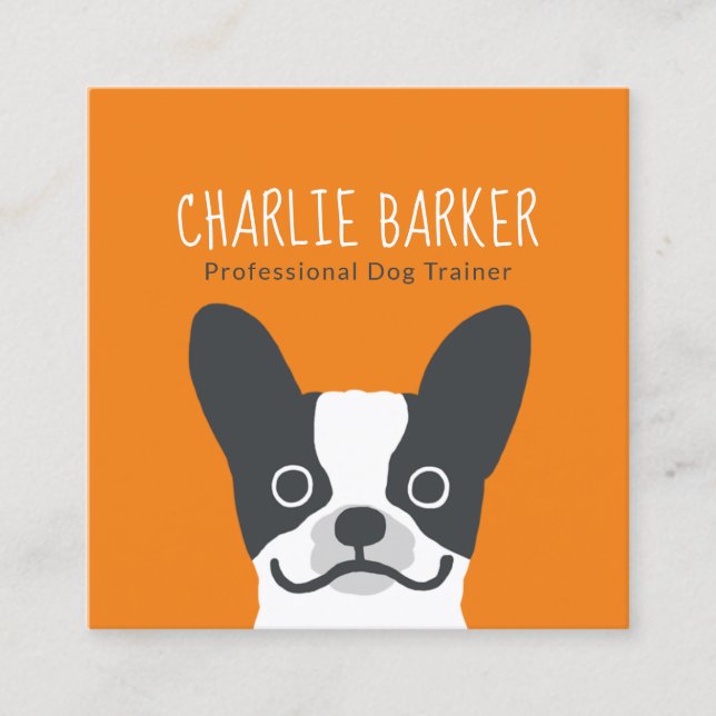 Carte De Visite Carré Chiffre de taureau français | Chien mignon | Soins (Devant)