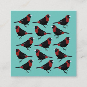 Carte De Visite Carré Colibri noir rouge cramoisi