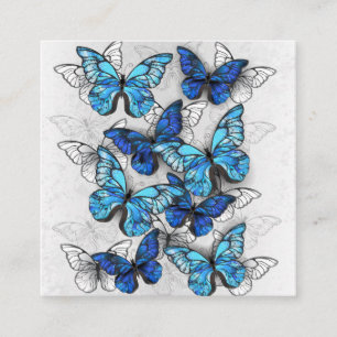 Carte De Visite Carré Composition des White and Blue Butterflies