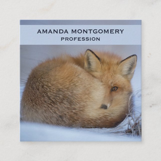 Carte De Visite Carré Cute Little Fox Curling Up Winter Photo (Devant)