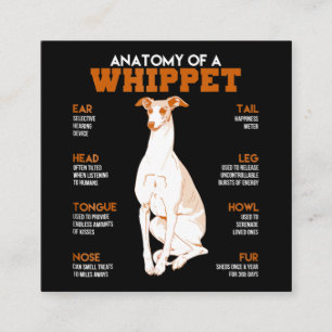 Carte De Visite Carré Don de chien anatomie d'un chien blanc à un cade