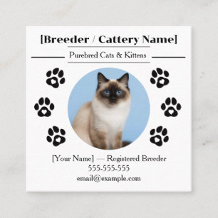 Carte De Visite Carré Élevage de chats Ragdoll - Entreprise de sélection
