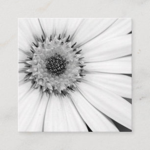 Carte De Visite Carré Fleur monochrome de marguerite africaine