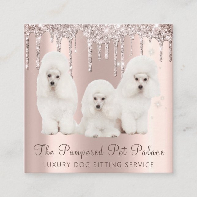 Carte De Visite Carré Glam Gold Rose Parties scintillant gouttes Poodle  (Devant)