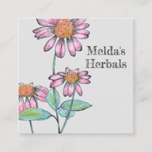 Carte De Visite Carré Herbes Coneflower Echinacea Herbe Médicale