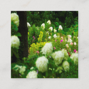 Carte De Visite Carré Hydrangeas Limelight dans mon jardin Rubio