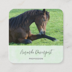 Carte De Visite Carré Joli Cheval Brown allongé dans l'herbe
