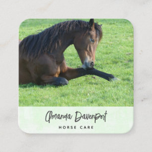 Carte De Visite Carré Joli Cheval Brown allongé dans l'Herbe Business Ca