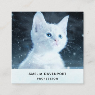 Carte De Visite Carré Joli petit chaton blanc aux beaux yeux bleus