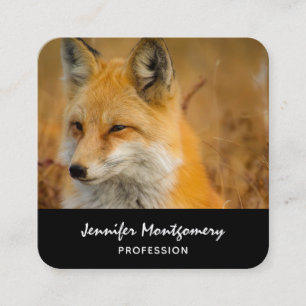 Carte De Visite Carré Jote Red Fox Wilderness Nature Photographie Carré