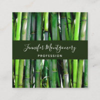 Le Bambou vert Stalks Photographie de la nature