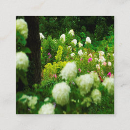 Carte De Visite Carré Limelight Hydrangeas dans My Rubio Garden