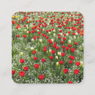 Carte De Visite Carré Lit de tulipes et autres fleurs
