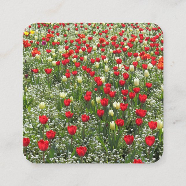 Carte De Visite Carré Lit de tulipes et autres fleurs (Devant)