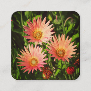 Carte De Visite Carré Marguerite Orange Africaine