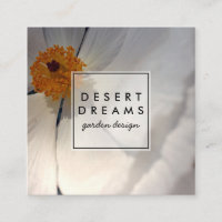 Matilija Poppy Desert Fleur sauvage Photo Voyage