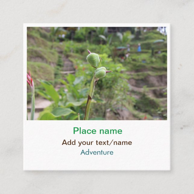 Carte De Visite Carré Nature plante photographie plage eau nom de voyage (Devant)