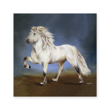 Noblesse du cheval islandais