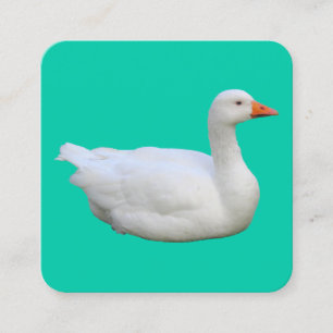 Carte De Visite Carré Oie blanche