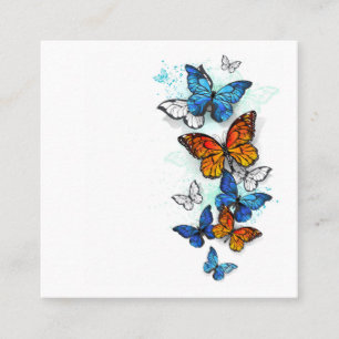 Carte De Visite Carré Papillons volants Morpho et Monarch