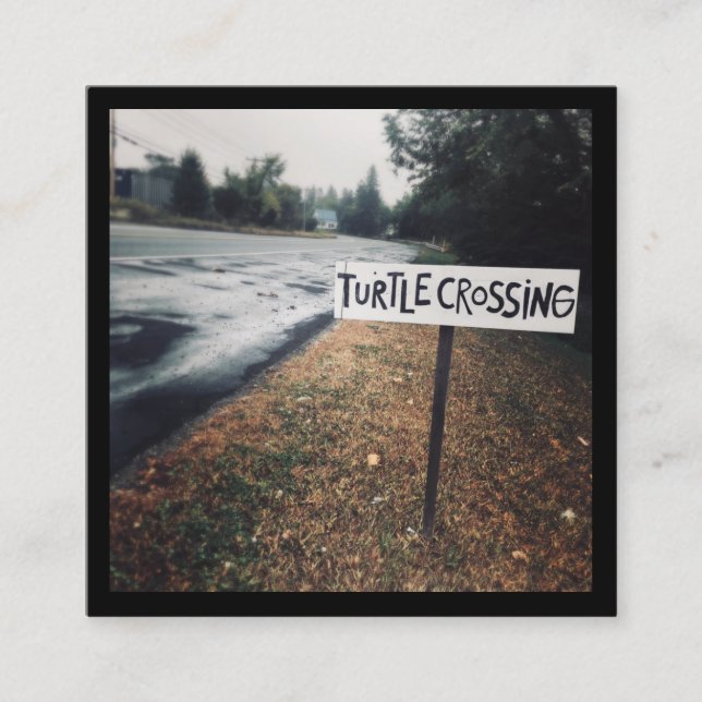 Carte De Visite Carré passage des tortues (Devant)