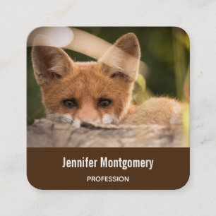 Carte De Visite Carré Photo de Cute Little Orange Fox
