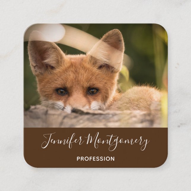 Carte De Visite Carré Photo de Cute Little Orange Fox (Devant)