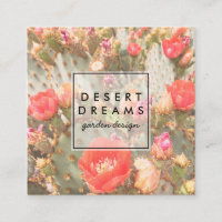 Pink Cactus Flower Desert Garden Photo Voyage